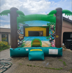 temp img 0 jpeg 177456469 big 1 1754085311 Jungle Jumper Bounce House