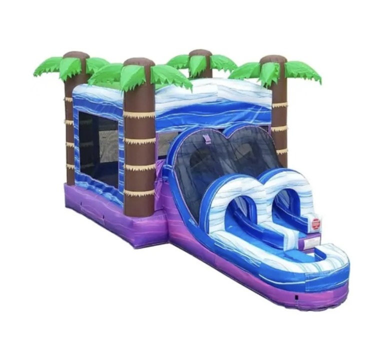 Bounce House Rentals